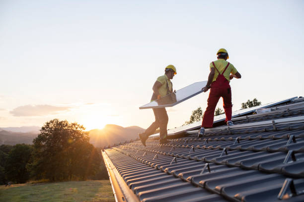 Best Roof Ventilation Installation  in Walnut Park, CA