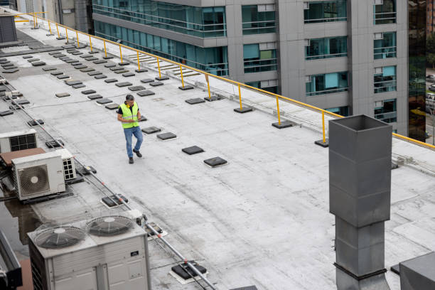 Best Flat Roofing  in Walnut Park, CA