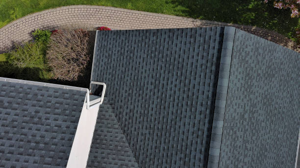 Best Chimney Flashing Repair  in Walnut Park, CA